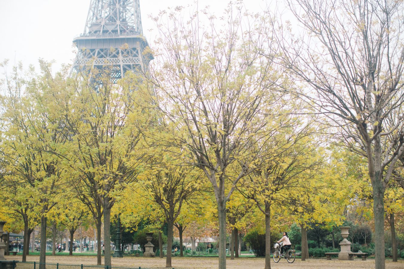 15976538322_fe9e5fc7aa_k