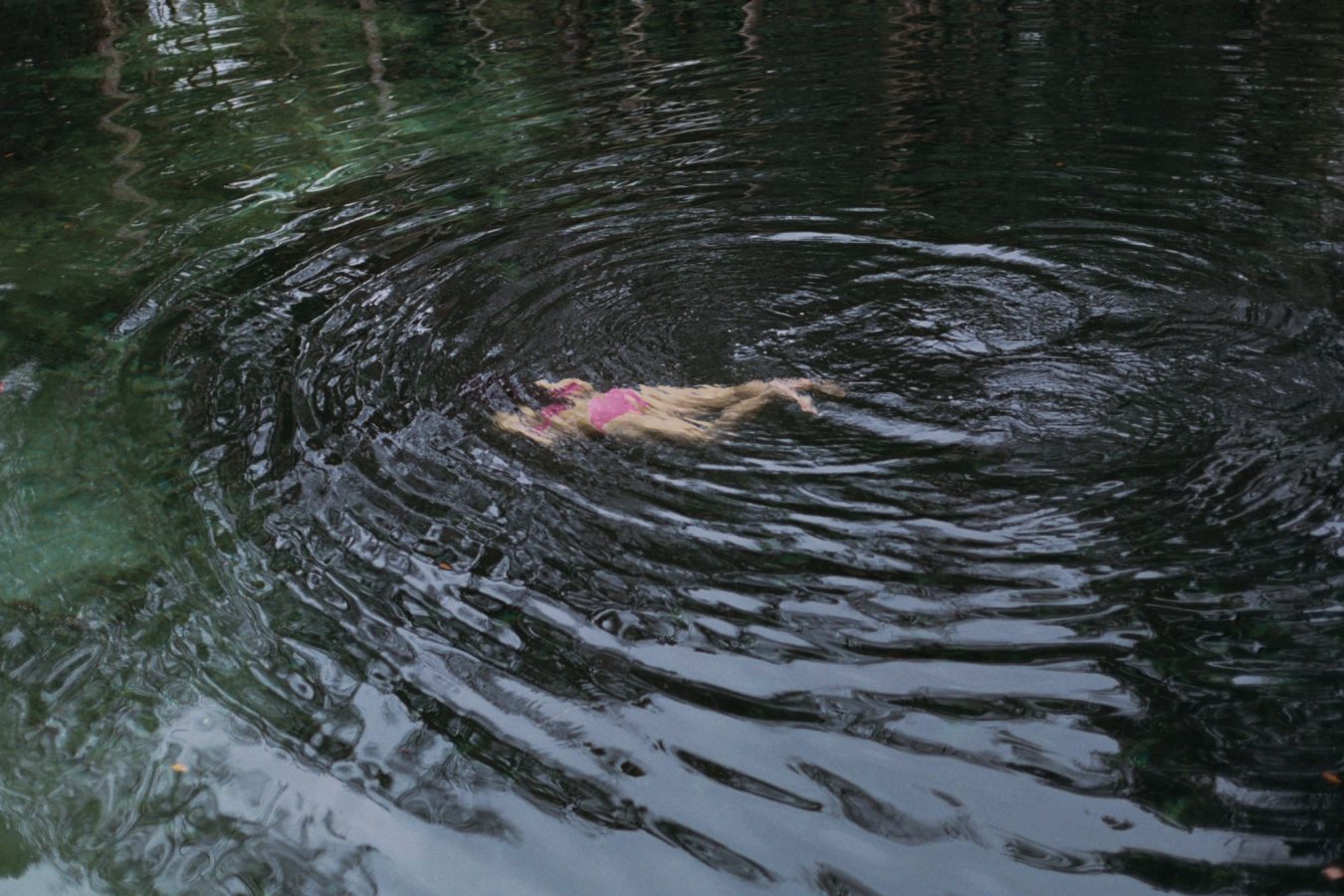 24646080141_754e61344c_k