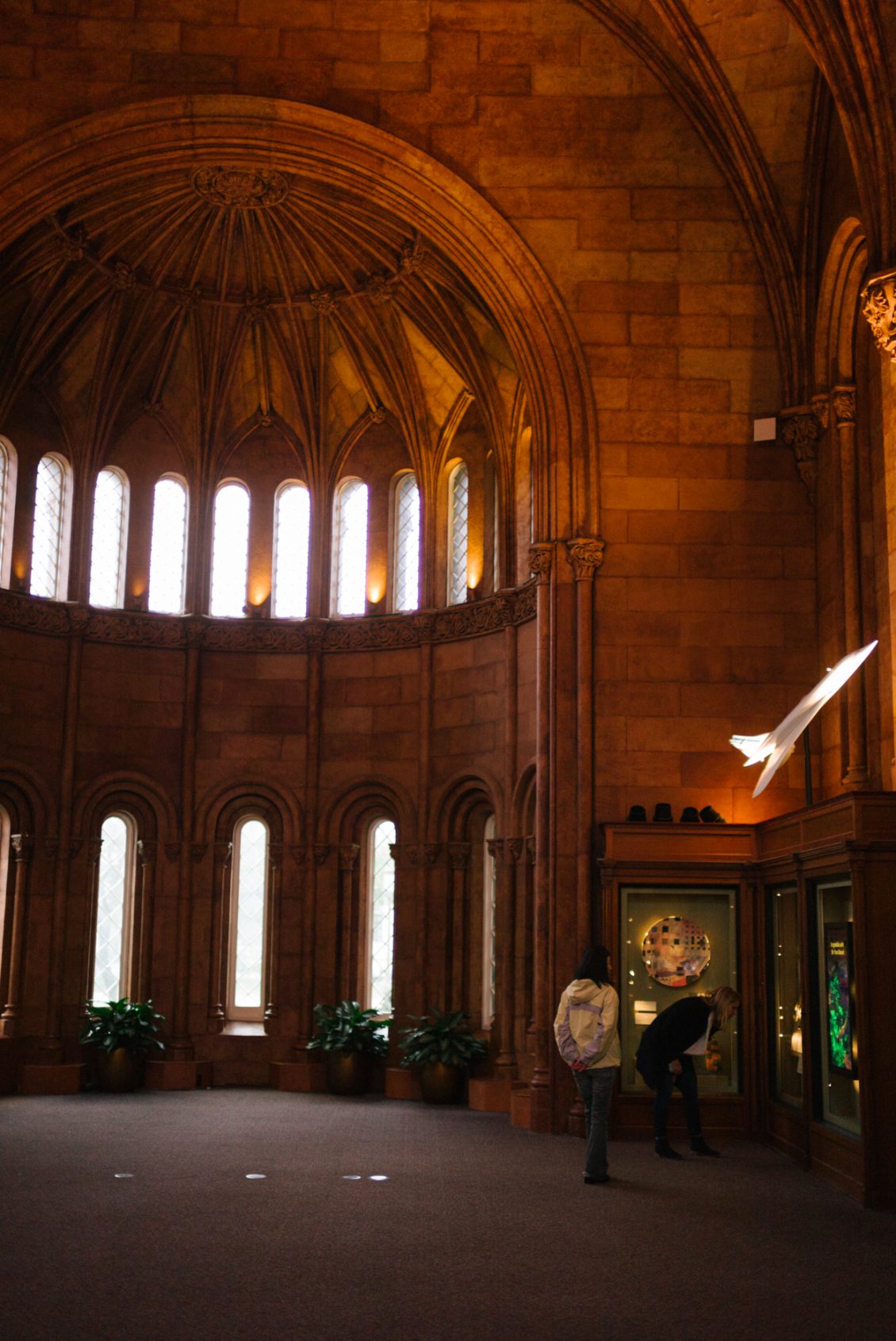 01FC2146-E579-4268-9BEF-ABB6EA260640