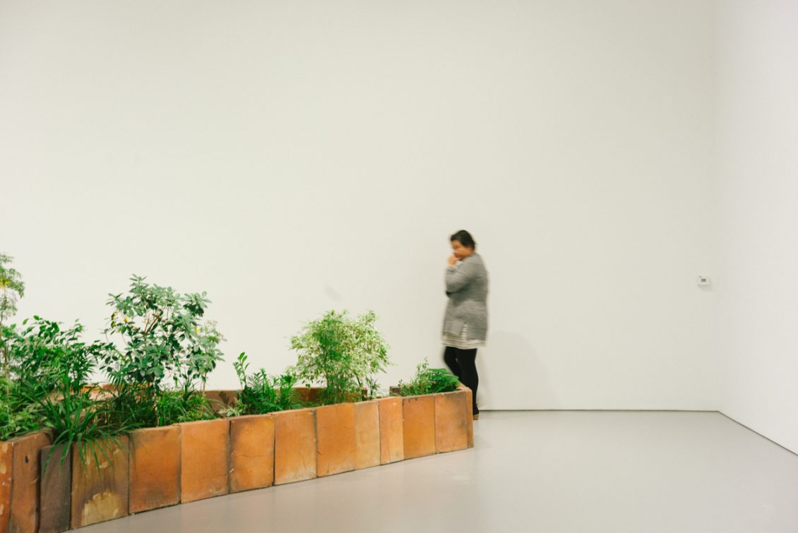 16FE2F84-18F6-4F5A-BBFE-391DB59035FD