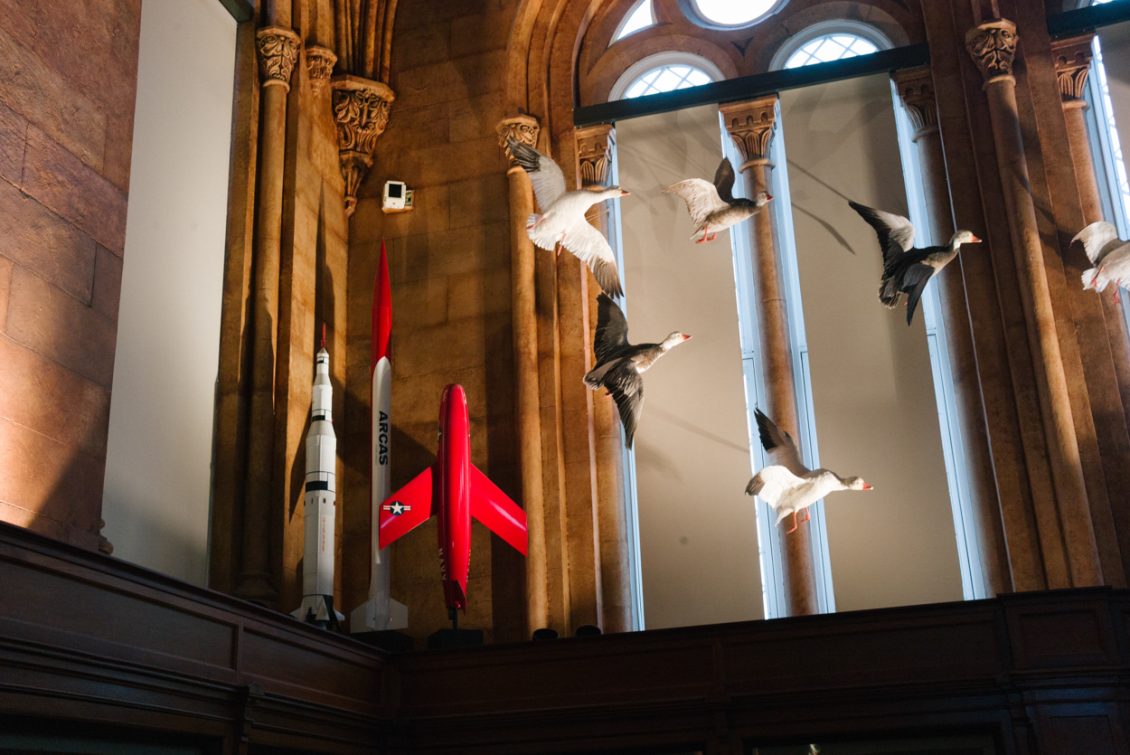 700A0D8D-2942-4573-8A54-BB04985AF8DA