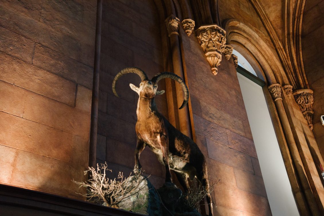 B6155C55-BC3B-46B5-AA6C-CB6AF3C5E439