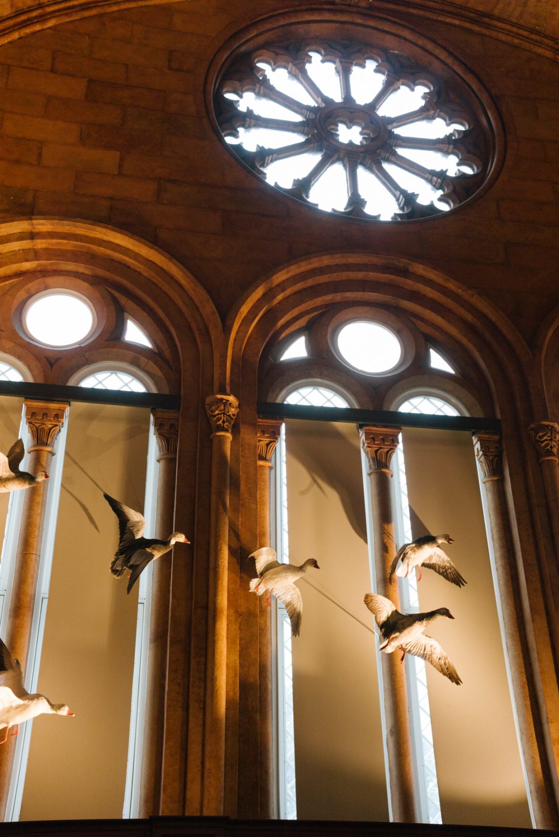 CAC7393E-66F3-40EA-91B2-464615E95675