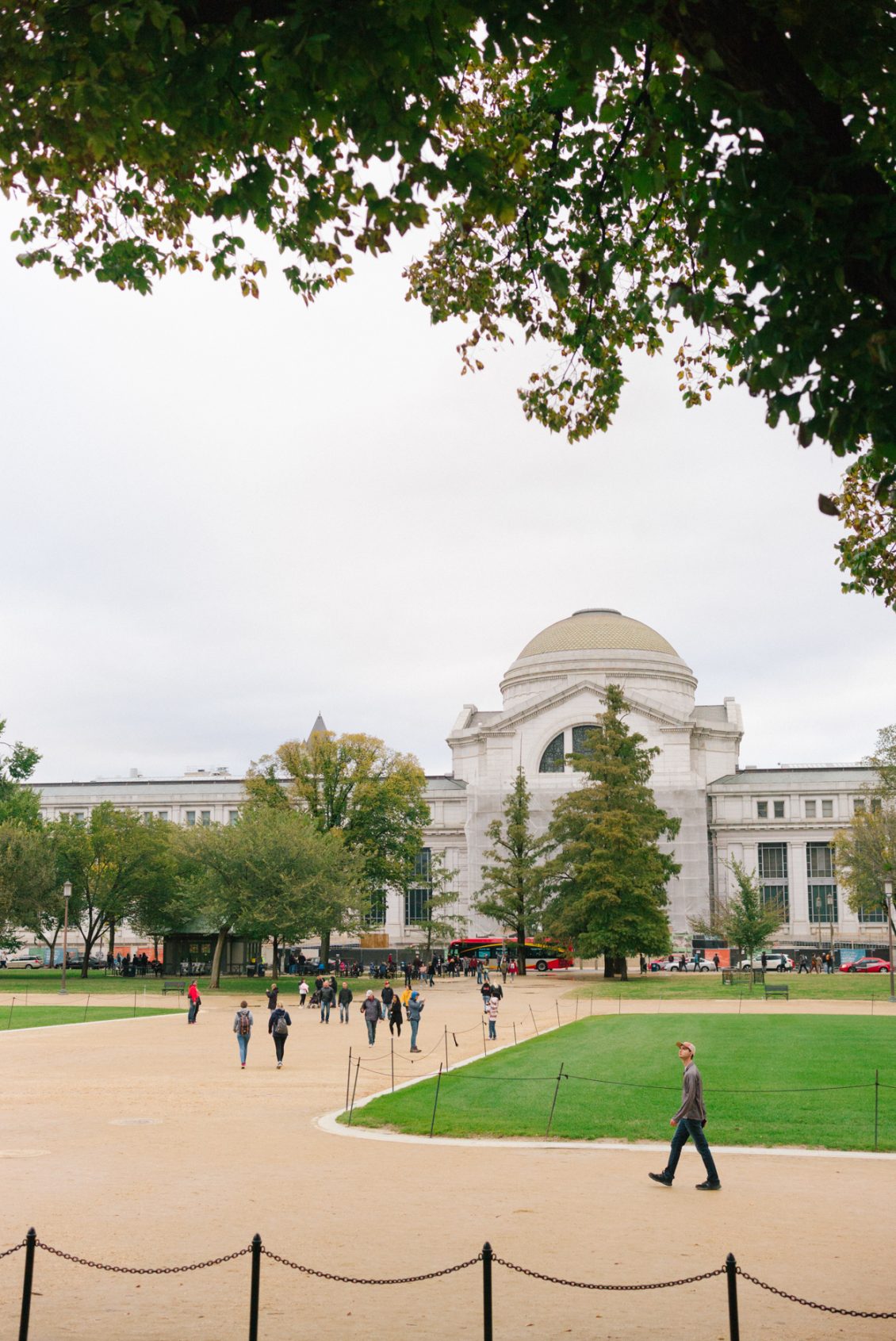 D5668DA7-D884-4B10-A1F0-A495F1084513