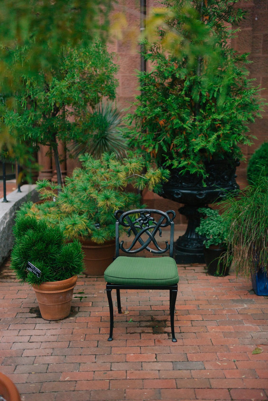 DB7891CA-04B9-4586-9603-AD67B68E079C