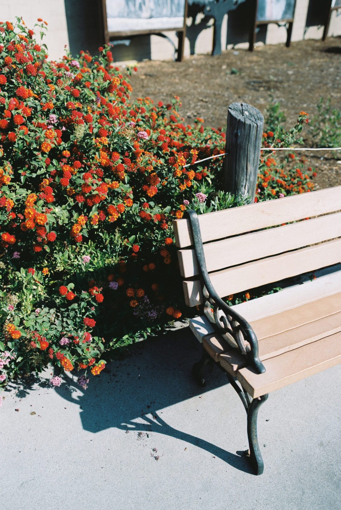 CAPARAS_CAPARAS-R4-E046