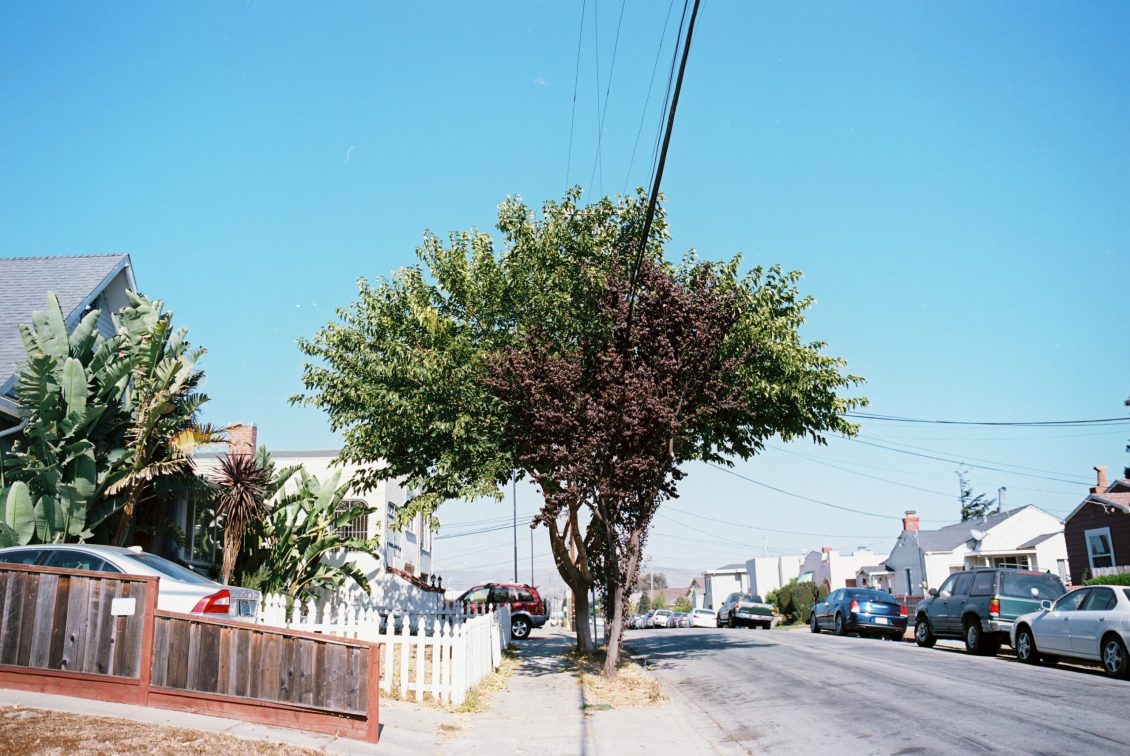 CAPARAS_CAPARAS-R4-E054