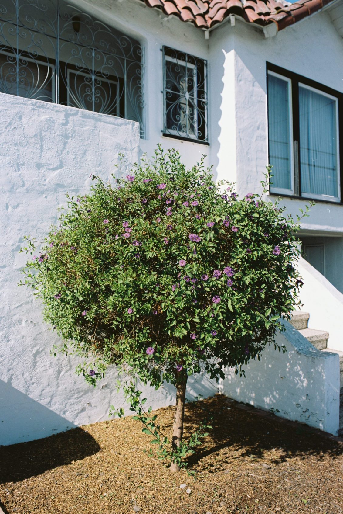 CAPARAS_CAPARAS-R4-E057