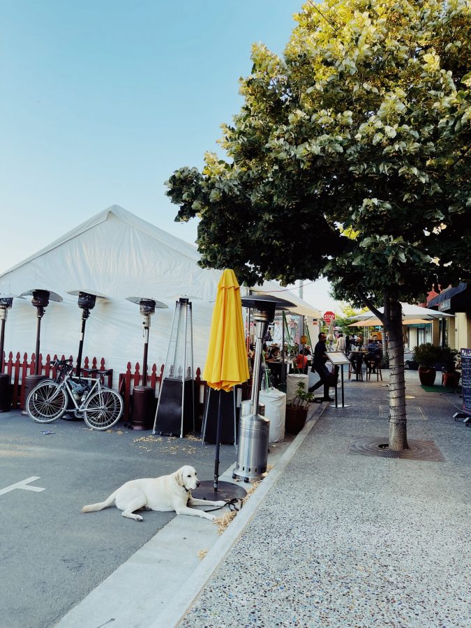 Processed with VSCO with kp4 preset