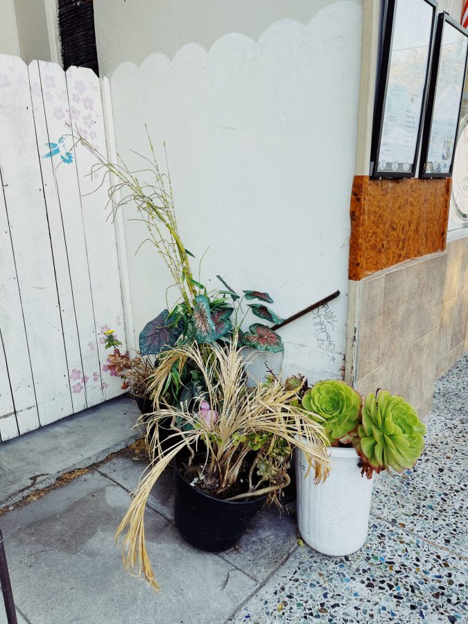 Processed with VSCO with kp4 preset