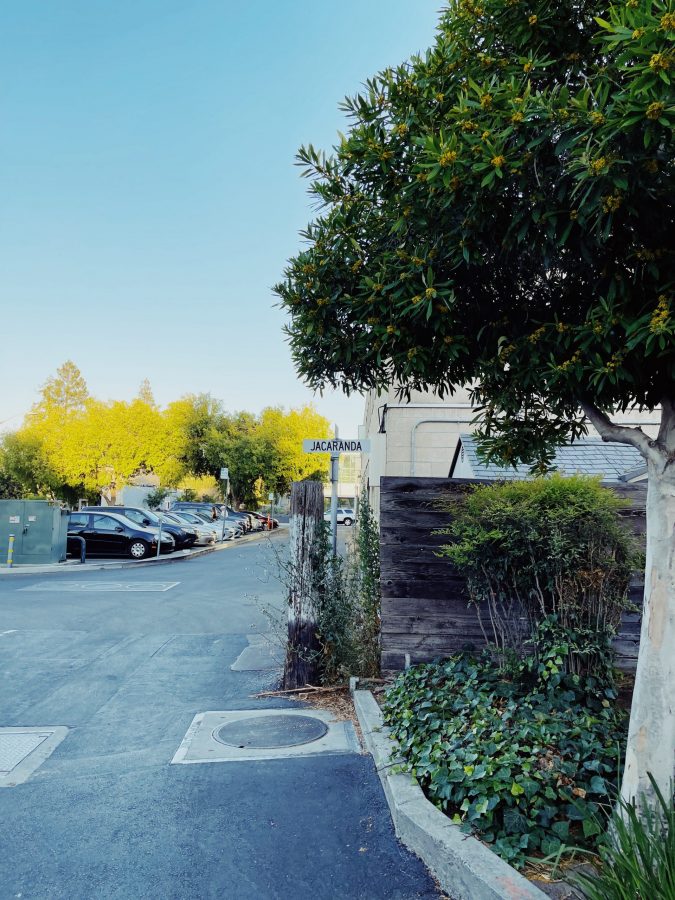 Processed with VSCO with kp4 preset